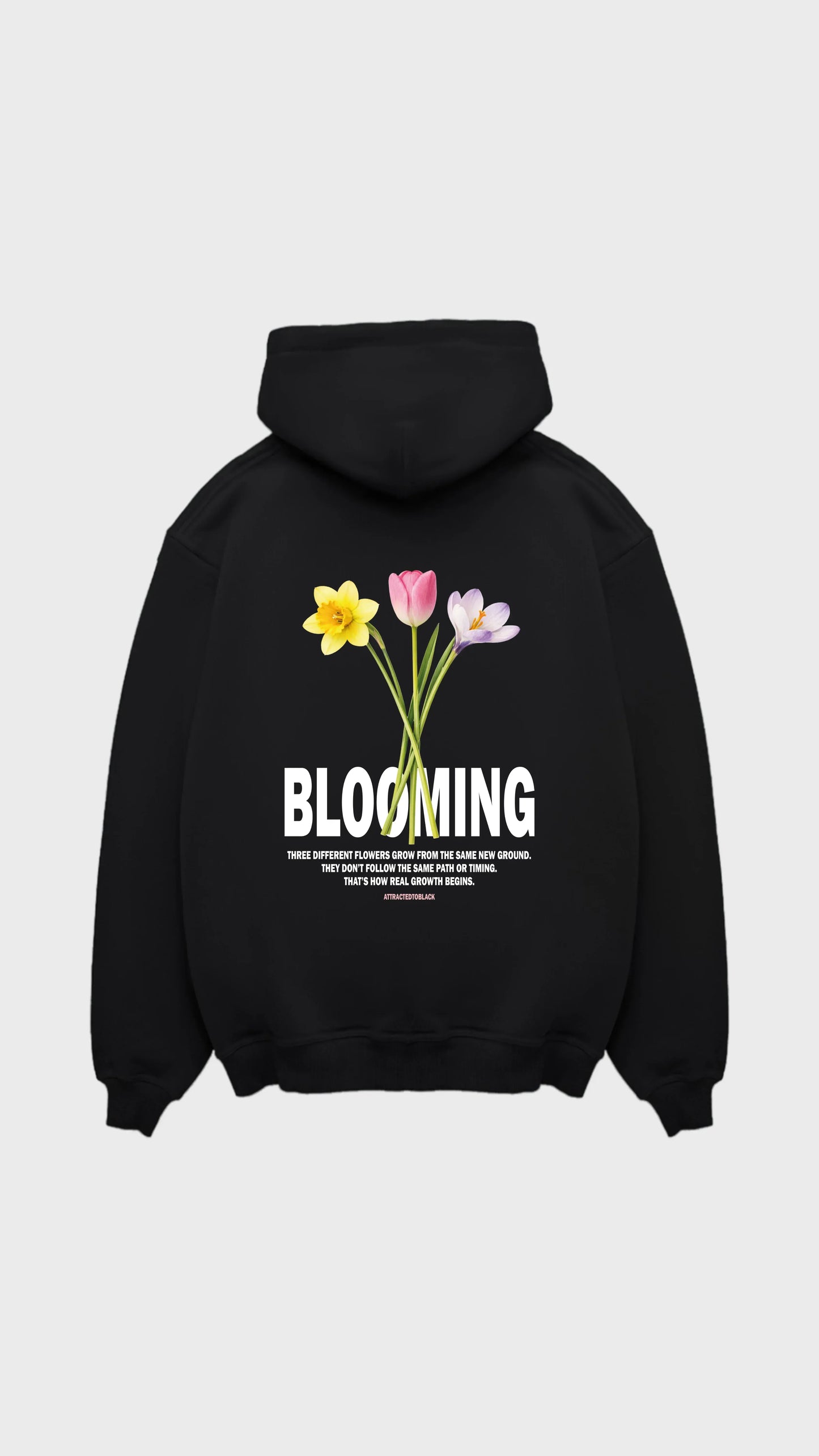 The Evolving Regular Hoodie - Attractedtoblack